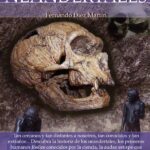Breve historia de los neandertales